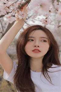 嘘，请按规则行事，听到声音别回头全集小说