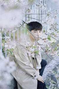 全集小说活成前任白月光后，她桃花朵朵开