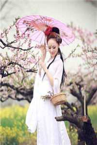 精品推荐马甲女王：夫人燃爆全球
