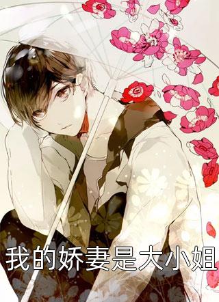 火爆小说奶爸：女神早产，拉我去医院签字？