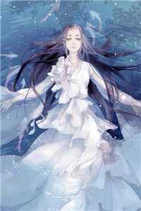 全章节将门美妾