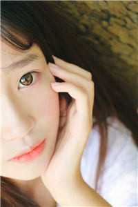 全集仕途美人香