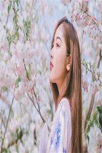 大结局二爷，夫人她又野又媚