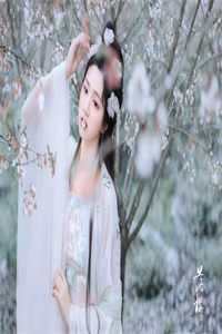 我风水神算搞婚介，月老直呼内行完整版
