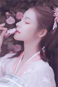 儒衫逍遥行全集