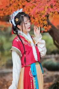 望族小女全章节