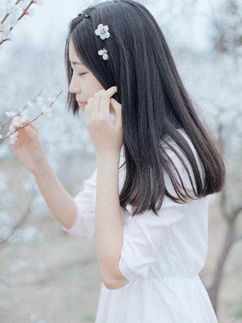 驭兽为王：冷宫皇女不好惹全章节