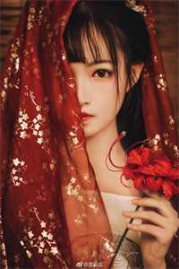 全集小说新婚夜，贵妃娘娘认陛下为兄长