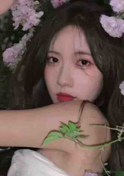 婚心叵测全章节