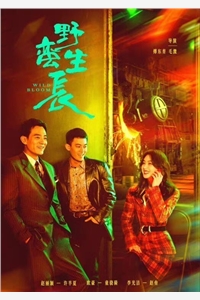 摄政王的娇宠小福妻全集