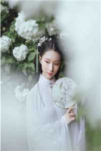 本公主除了美貌，一无所有全章节阅读