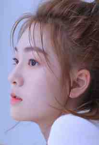 小说赵予安谢斯誉