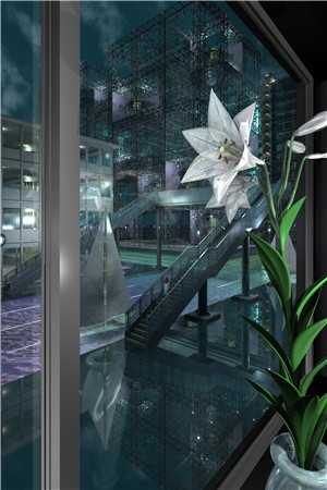 全文版乔雨熙陆兴国全文