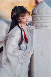 小说全集嫡女惊华：王妃暴躁不好惹