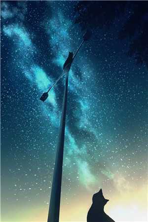 徐云笙穆昭精品小说