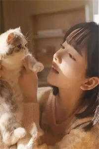 全文版许遥初席琛免费阅读