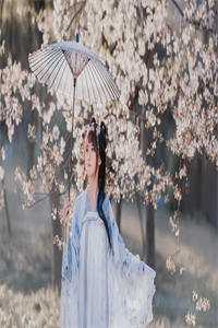 大结局女神图鉴