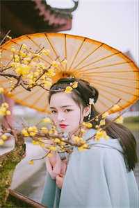 开局融合道果，哥长生不老了畅销巨作
