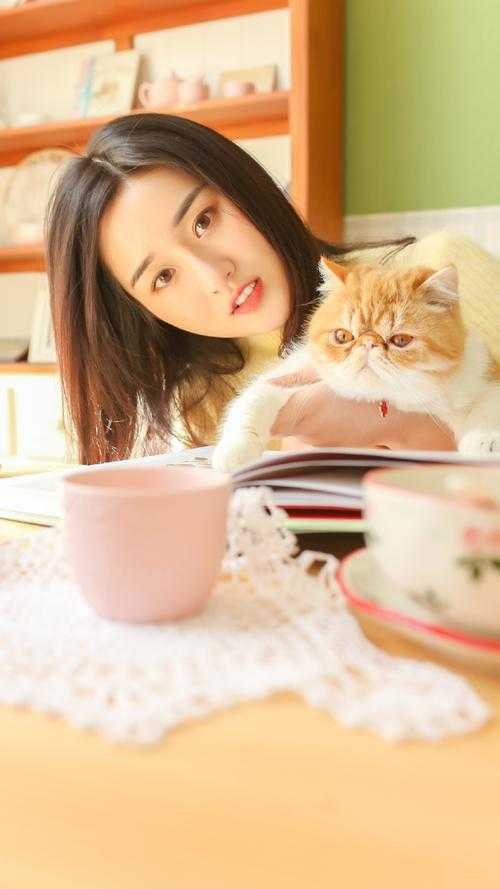 娶个狐仙当老婆小说全集