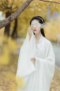 全集小说山霖沐清荷