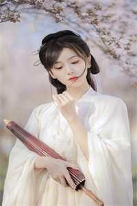 全章节圆梦风暴