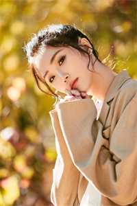 左边那租客精选小说