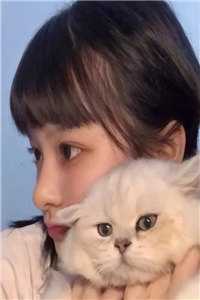 直播通古今，我改变了世界版图已完结