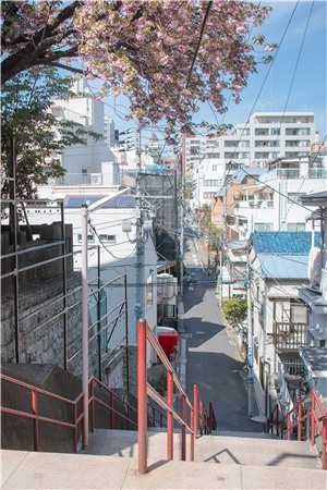 优秀文集其发生的道理