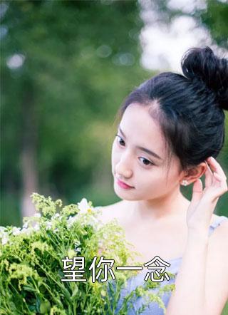 斩尽奸臣后，大明盛世三百年已完结
