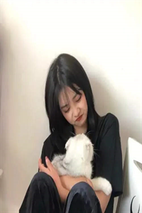 每日上一香，各路神仙修为狂飙畅读全文版