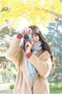 华夏守墓人完整文集