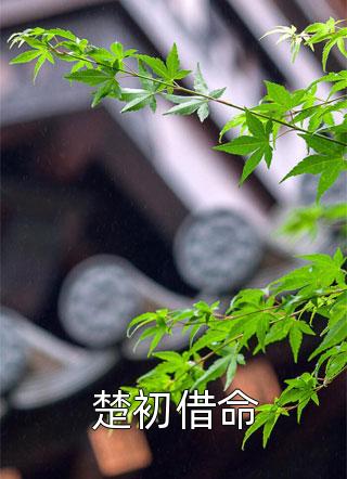 追妻火葬场：天赐良缘他却瞎了眼精品全篇