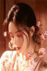 全章节阅读暗里沉醉