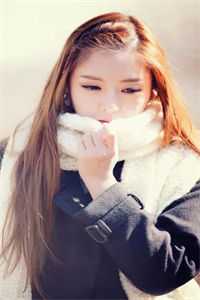 完整文集阅读凤鸣朝歌