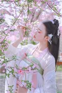 宁柠纪瑶林尹长篇小说阅读