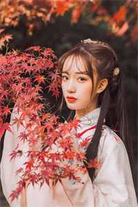 网游：回到开服前我有神级天赋高质量小说阅读