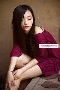 精品阅读狗狗回荡