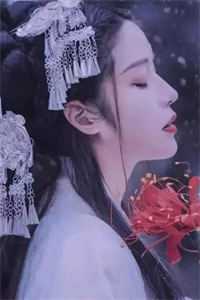 一号龙婿精选小说