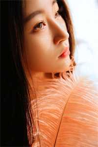 镇守疯人院五年，战神下山畅读佳作推荐