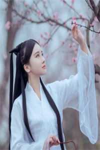 阅读全集补贴系统：我在古代扩展团队赚大钱