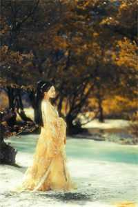 热门作品改嫁疯批太子，清冷美人她艳翻东宫