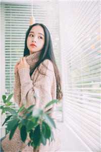 她毅然离婚！前夫追妻火葬场精选篇章