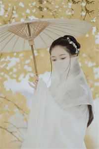 重生后，侯门夫人假死嫁权王畅销书籍