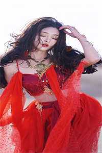 渣男宠妾灭妻？她二嫁太子精选篇章