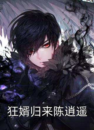 满级龙婿畅读佳作