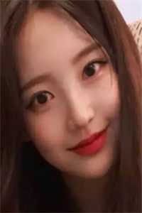 首辅大人的宠妾文章精选阅读