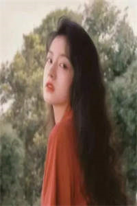 长篇小说皇婿归来