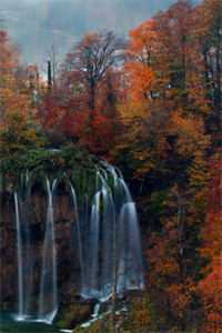 精品选集规则怪谈也治不了我的精神病