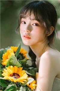 全集小说推荐神武夜风