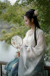 完整文本帝婿无双